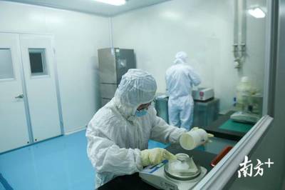 粤企战疫录 广东机房里的新征程——计算机技术开发复工复产纪实