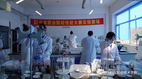 赋能未来技能 辽宁石化职业技术学院成功承办2020年辽宁省职业院校技能大赛两赛项选拔赛