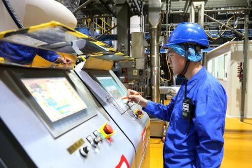新华全媒 小萌宠激活亿元新赛道——山东宠物产业发展一线见闻及技术咨询启示